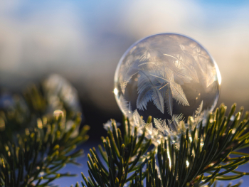 Free Photo of feather, dream catcher, nature Free Photo of feather, dream catcher, nature