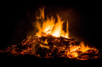 Free Photo of fire, bonfire, camping