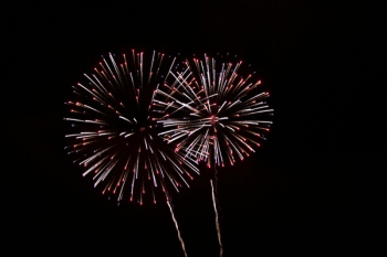 Free Photo of fireworks, still, light Free Photo of fireworks, still, light