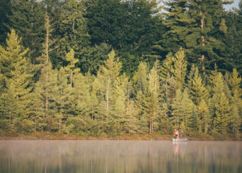 Free Photo of fishing, boat, people