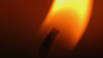 Free Photo of flames, fire, candle Free Photo of flames, fire, candle