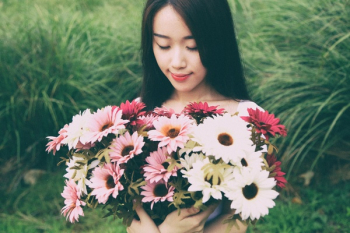 Free Photo of flower, white, petal Free Photo of flower, white, petal