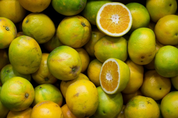 Free Photo of fruits, citrus, green Free Photo of fruits, citrus, green