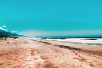 Free Photo of golden, sand, beach Free Photo of golden, sand, beach