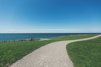Free Photo of gravel, trail, path Free Photo of gravel, trail, path