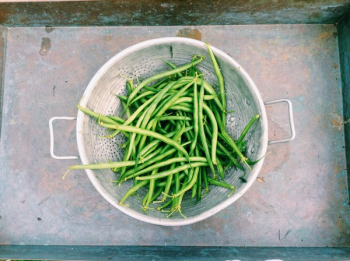 Free Photo of green beans, vegetables, food Free Photo of green beans, vegetables, food