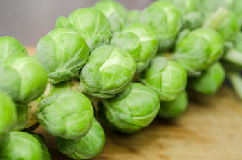 Free Photo of green, brussels sprouts, vegetables Free Photo of green, brussels sprouts, vegetables