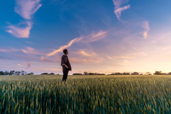 Free Photo of green, field, crops Free Photo of green, field, crops
