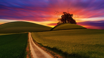 Free Photo of green, field, crops Free Photo of green, field, crops