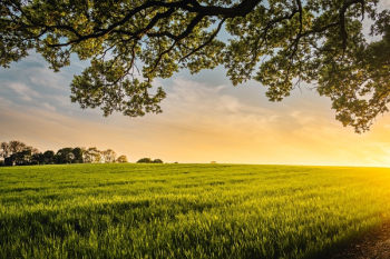 Free Photo of green, field, crops Free Photo of green, field, crops