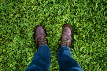 Free Photo of green, grass, jeans Free Photo of green, grass, jeans