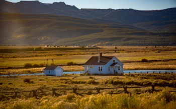 Free Photo of green, grass, landscape Free Photo of green, grass, landscape