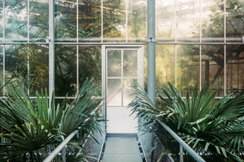 Free Photo of green, plant, building Free Photo of green, plant, building