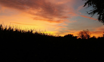 Free Photo of Grevenbrück, sunrise, sun Free Photo of Grevenbrück, sunrise, sun