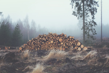 Free Photo of grey, fog, haze Free Photo of grey, fog, haze