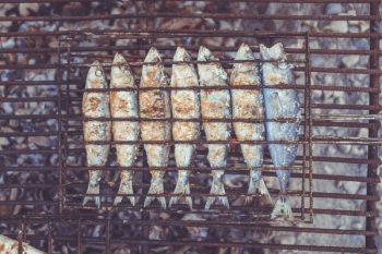 Free Photo of grilled, fish, food Free Photo of grilled, fish, food
