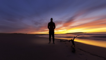 Free Photo of guy, man, male