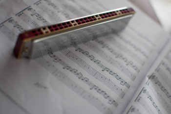 Free Photo of harmonica, music, notes Free Photo of harmonica, music, notes