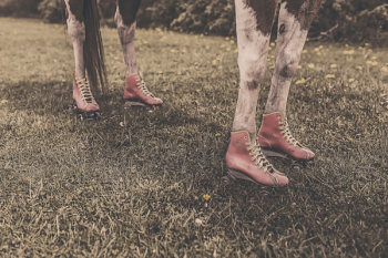 Free Photo of horse, animal, legs Free Photo of horse, animal, legs