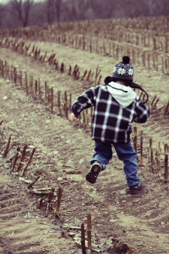 Free Photo of kid, child, boy Free Photo of kid, child, boy