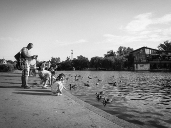 Free Photo of kids, children, ducks Free Photo of kids, children, ducks