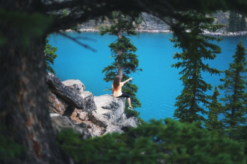 Free Photo of lake, blue, water Free Photo of lake, blue, water