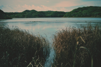 Free Photo of lake, blue, water Free Photo of lake, blue, water