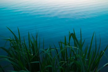 Free Photo of lake, blue, water Free Photo of lake, blue, water