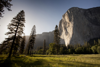 Free Photo of landscape, grass, trees Free Photo of landscape, grass, trees