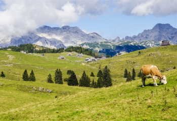Free Photo of landscape, green, grass Free Photo of landscape, green, grass