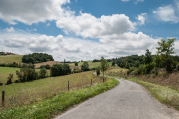 Free Photo of landscape, road, grass Free Photo of landscape, road, grass
