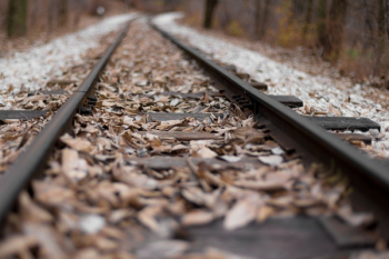 Free Photo of leaf, fall, autumn Free Photo of leaf, fall, autumn