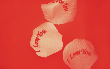 Free Photo of love, romance, romantic Free Photo of love, romance, romantic