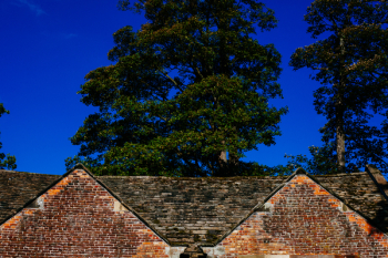 Free Photo of mill, bricks, roof Free Photo of mill, bricks, roof