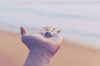 Free Photo of nature, beach, people Free Photo of nature, beach, people