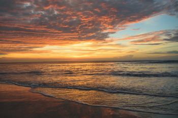 Free Photo of nature, beach, shore Free Photo of nature, beach, shore