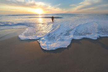 Free Photo of nature, beach, shore Free Photo of nature, beach, shore