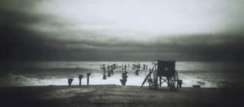 Free Photo of nature, beach, shore Free Photo of nature, beach, shore