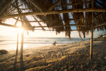 Free Photo of nature, beach, shore Free Photo of nature, beach, shore