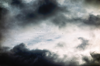 Free Photo of nature, dark, sky Free Photo of nature, dark, sky