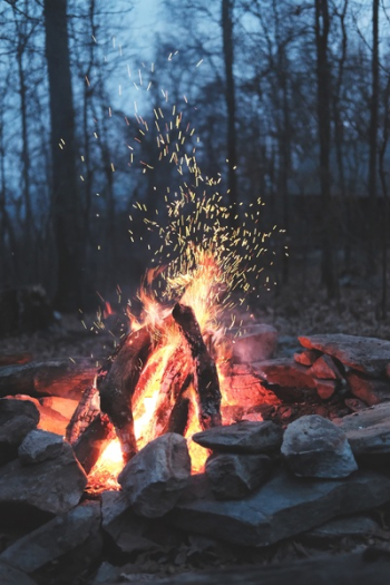 Free Photo of nature, fire, bonfire Free Photo of nature, fire, bonfire