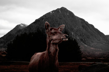 Free Photo of nature, mountains, sky Free Photo of nature, mountains, sky