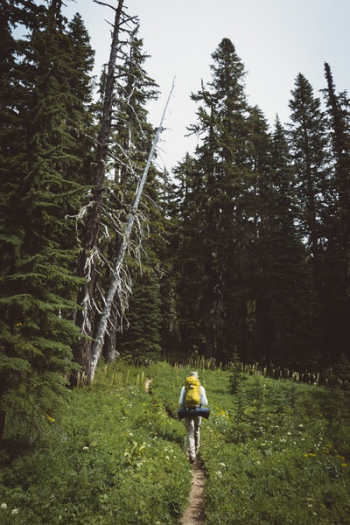 Free Photo of nature, people, travel Free Photo of nature, people, travel