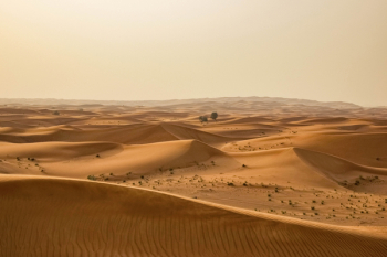Free Photo of nature, sand, dunes Free Photo of nature, sand, dunes