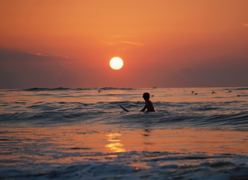 Free Photo of nature, sunset, sun Free Photo of nature, sunset, sun