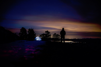 Free Photo of nature, trees, camping