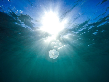 Free Photo of nature, water, ocean Free Photo of nature, water, ocean
