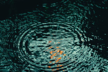 Free Photo of nature, water, ripples Free Photo of nature, water, ripples