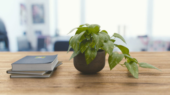 Free Photo of office, work, business Free Photo of office, work, business