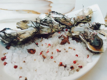 Free Photo of oysters, seafood, shells Free Photo of oysters, seafood, shells